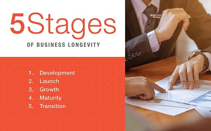 5 Stages of Business Longevity