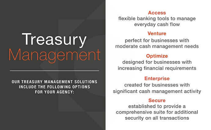 treasury management